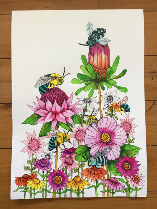 A3 native bees and blooms