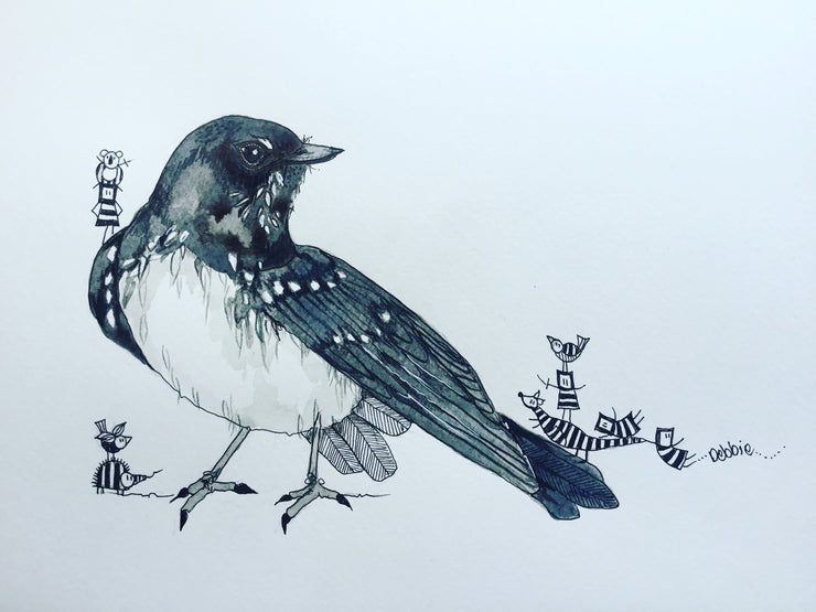 A4 willy wagtail