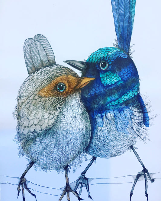 Blue Wrens... Harley and Rose