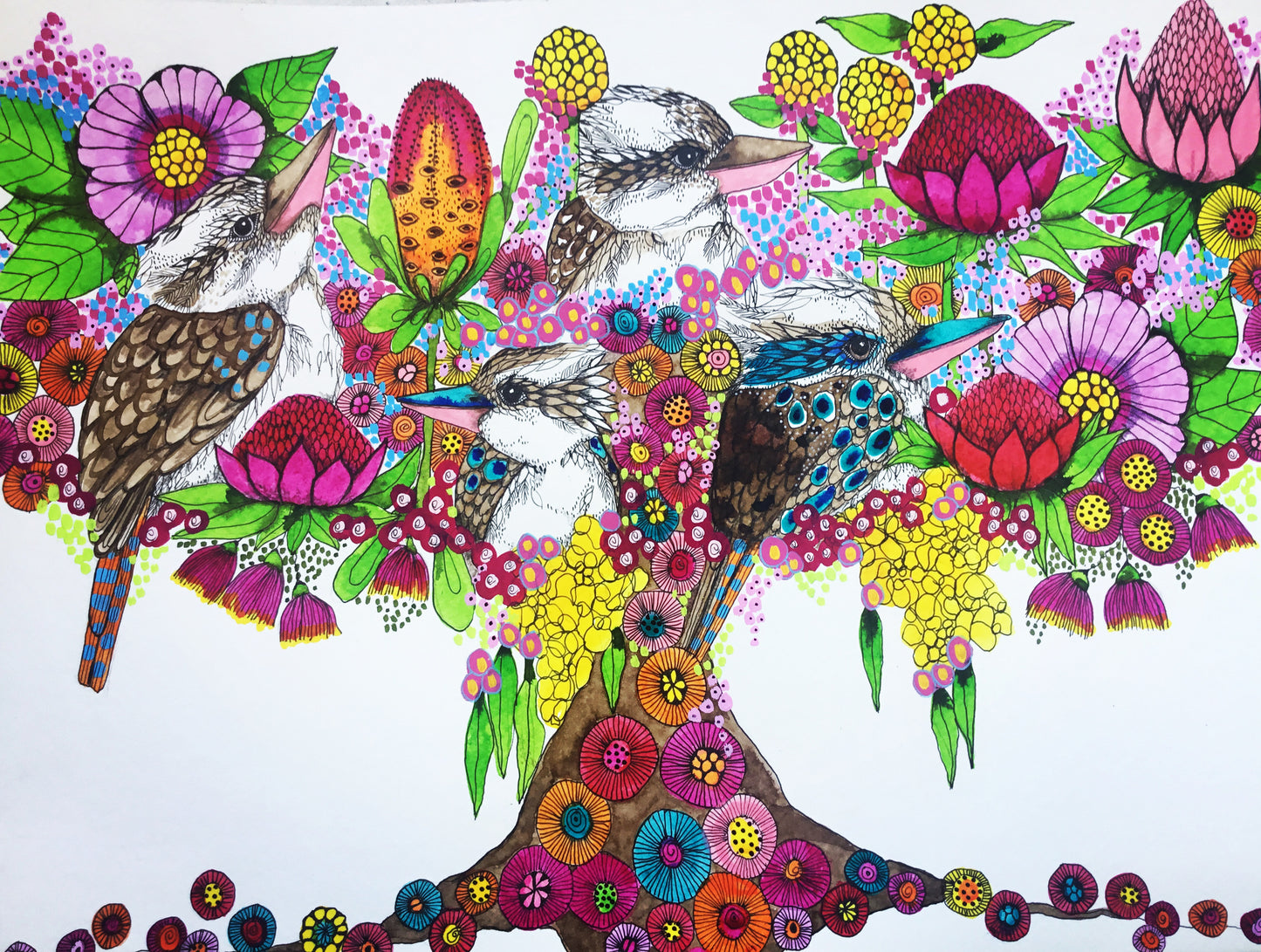 Print… kooka tree of life