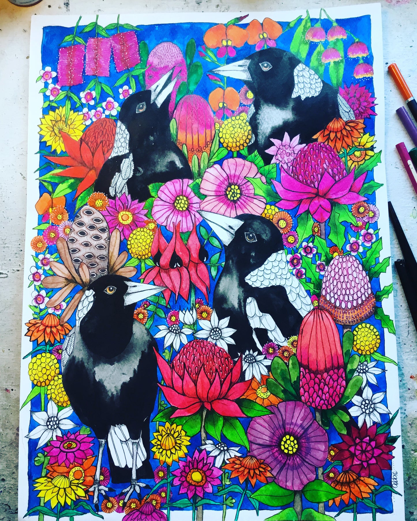 Magpie and natives